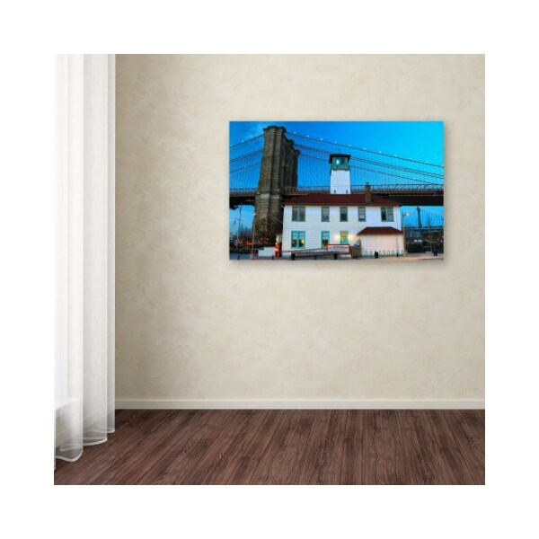 Trademark Fine Art CATeyes 'Brooklyn 1' Canvas Art, 22x32 - MZ0288-C2232GG