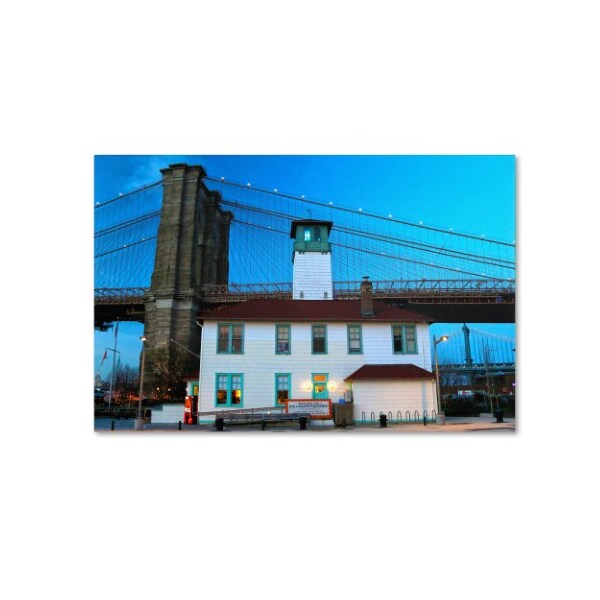 Trademark Fine Art CATeyes 'Brooklyn 1' Canvas Art, 22x32 - MZ0288-C2232GG