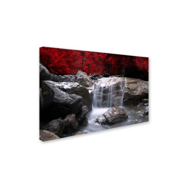 Trademark Fine Art Philippe Sainte-Laudy 'Red Vison' Canvas Art, 22x32 - PSL0130-C2232GG