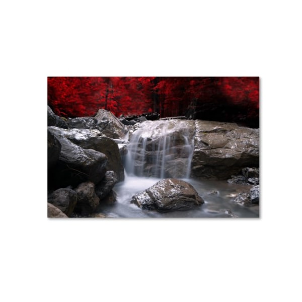 Trademark Fine Art Philippe Sainte-Laudy 'Red Vison' Canvas Art, 22x32 - PSL0130-C2232GG