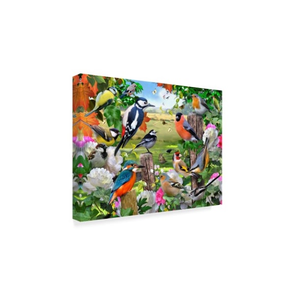 Trademark Fine Art Howard Robinson 'Colorful Birds' Canvas Art, 14x19 - ALI23964-C1419GG
