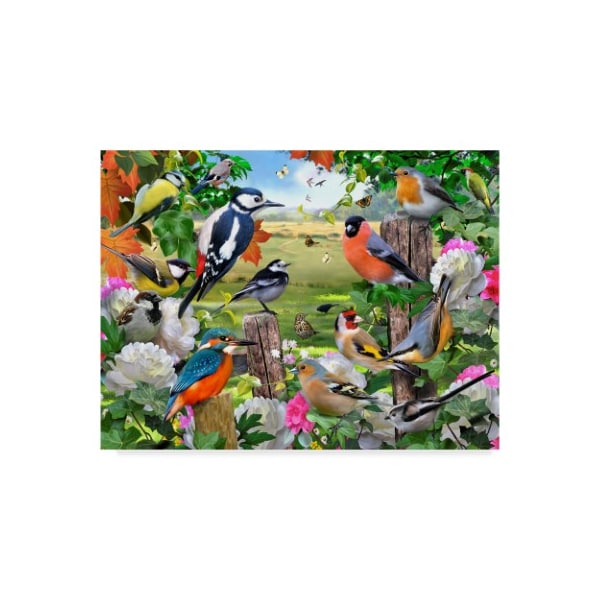 Trademark Fine Art Howard Robinson 'Colorful Birds' Canvas Art, 14x19 - ALI23964-C1419GG