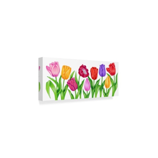Trademark Fine Art Kimura Designs 'Floral Tulips' Canvas Art, 8x19 - ALI30801-C819GG