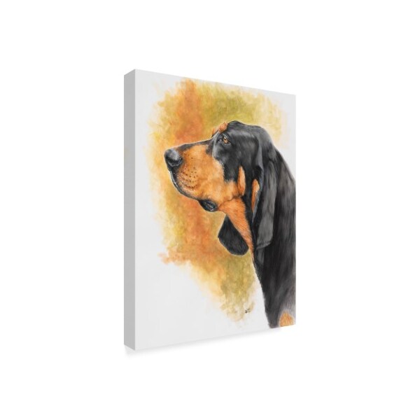 Trademark Fine Art Barbara Keith 'Coonhound' Canvas Art, 35x47 - ALI25204-C3547GG