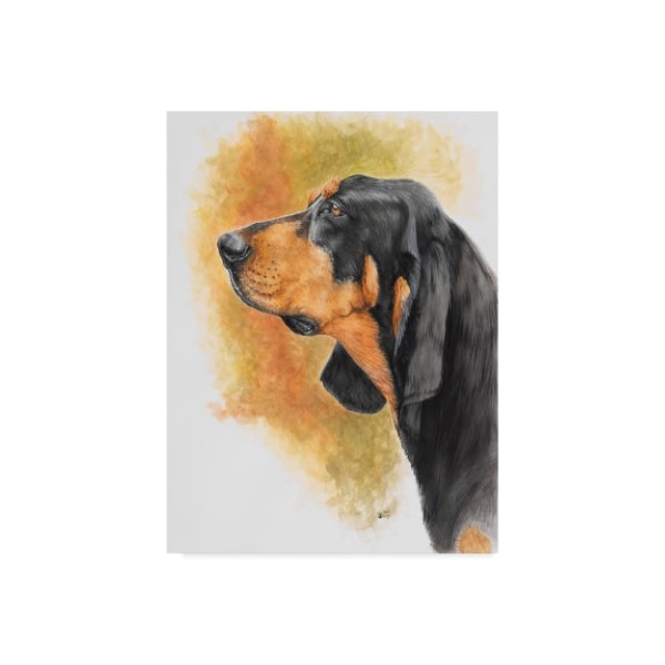 Trademark Fine Art Barbara Keith 'Coonhound' Canvas Art, 35x47 - ALI25204-C3547GG