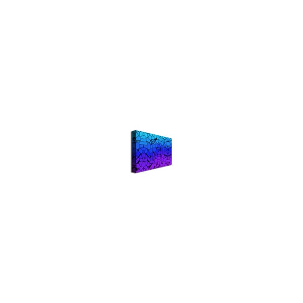 Trademark Fine Art 'Crystals of Blue and Purple' Canvas Art, 16x24 - MA0275-C1624GG
