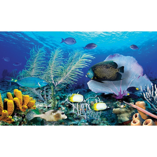 Biggies Scenes Wall Murals-Ocean Reef, 54 in wide x 27 in high - BG-WM-ORF-54