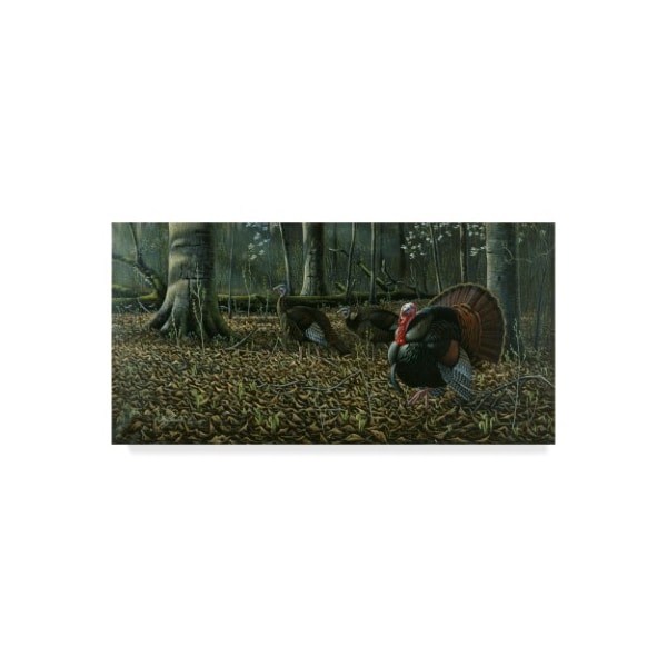 Trademark Fine Art Wilhelm Goebel 'The Suitor Wild Turkeys' Canvas Art, 24x47 - ALI33805-C2447GG