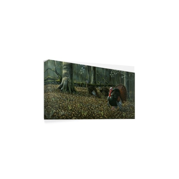 Trademark Fine Art Wilhelm Goebel 'The Suitor Wild Turkeys' Canvas Art, 24x47 - ALI33805-C2447GG