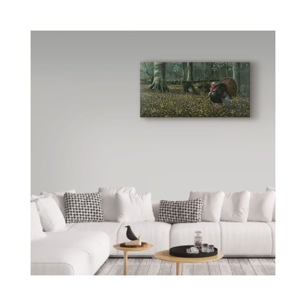 Trademark Fine Art Wilhelm Goebel 'The Suitor Wild Turkeys' Canvas Art, 24x47 - ALI33805-C2447GG