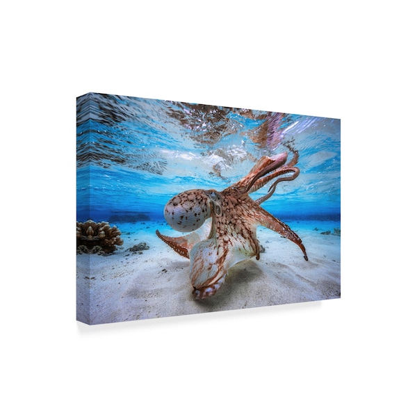 Trademark Fine Art Barathieu Gabriel 'Dancing Octopus' Canvas Art, 22x32 - 1X07855-C2232GG