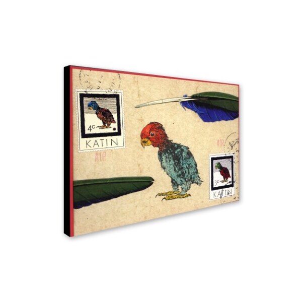 Trademark Fine Art Nick Bantock 'Katin Parrot' Canvas Art, 35x47 - ALI2199-C3547GG