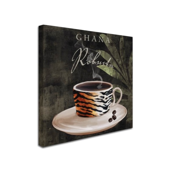 Trademark Fine Art Color Bakery 'Afrikan Coffee IV' Canvas Art, 24x24 - ALI4193-C2424GG
