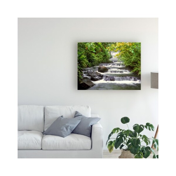 Trademark Fine Art Monte Nagler 'Terraced Falls' Canvas Art, 18x24 - ALI44829-C1824GG