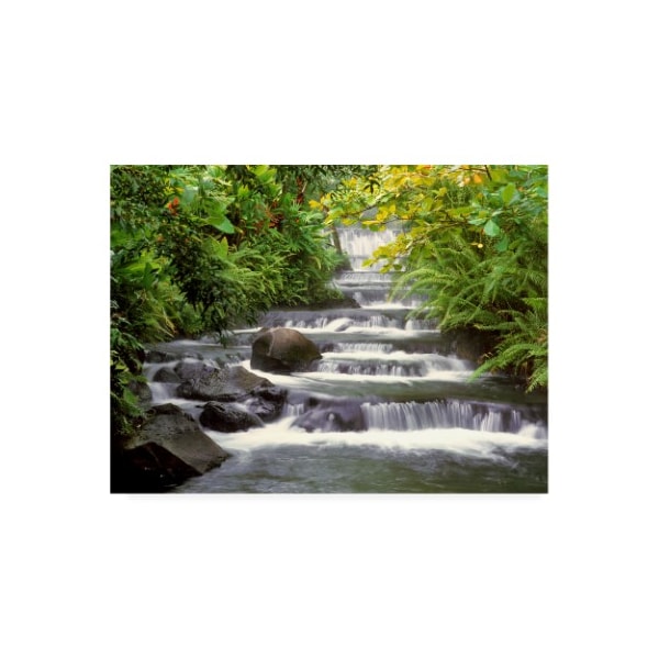 Trademark Fine Art Monte Nagler 'Terraced Falls' Canvas Art, 18x24 - ALI44829-C1824GG