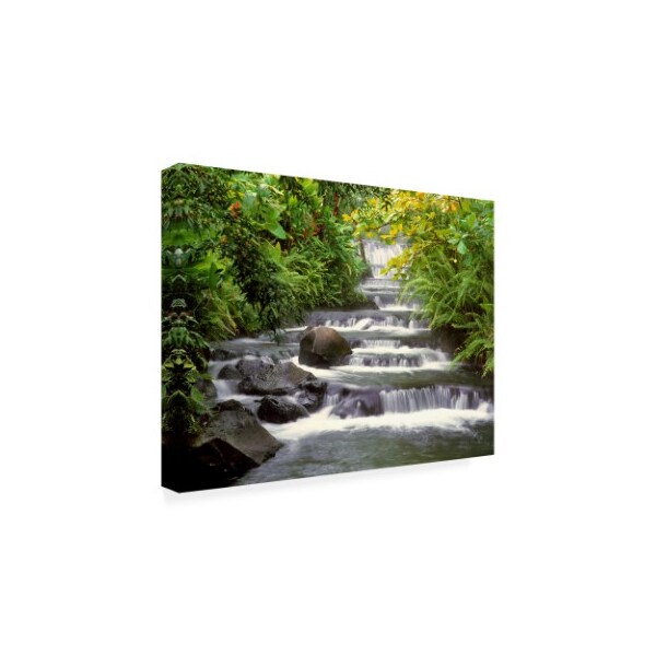 Trademark Fine Art Monte Nagler 'Terraced Falls' Canvas Art, 18x24 - ALI44829-C1824GG