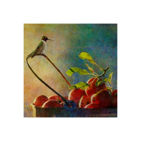 Trademark Fine Art Chris Vest 'Apples And Hummer' Canvas Art, 14x14 - WAG03328-C1414GG