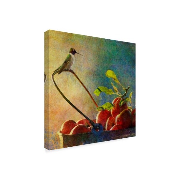 Trademark Fine Art Chris Vest 'Apples And Hummer' Canvas Art, 14x14 - WAG03328-C1414GG