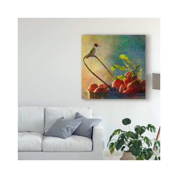 Trademark Fine Art Chris Vest 'Apples And Hummer' Canvas Art, 14x14 - WAG03328-C1414GG