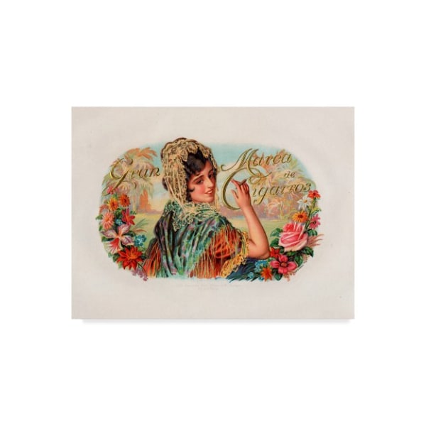 Trademark Fine Art Art Of The Cigar 'Marca De Cigarros' Canvas Art, 35x47 - ALI38898-C3547GG