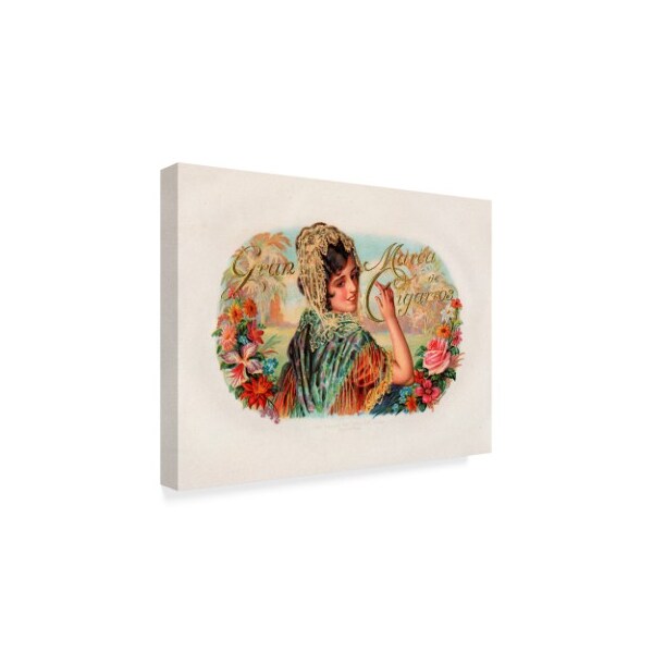 Trademark Fine Art Art Of The Cigar 'Marca De Cigarros' Canvas Art, 35x47 - ALI38898-C3547GG