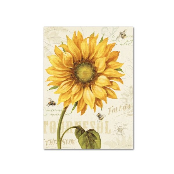 Trademark Fine Art Lisa Audit 'Under the Sun I' Canvas Art, 18x24 - WAP0221-C1824GG