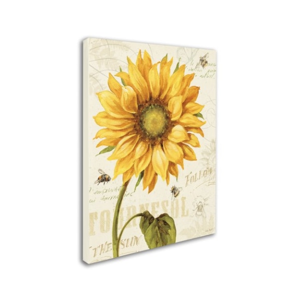 Trademark Fine Art Lisa Audit 'Under the Sun I' Canvas Art, 18x24 - WAP0221-C1824GG