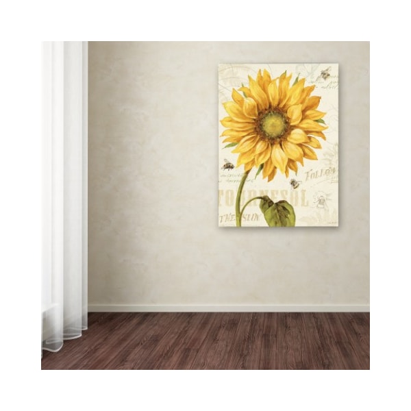 Trademark Fine Art Lisa Audit 'Under the Sun I' Canvas Art, 18x24 - WAP0221-C1824GG