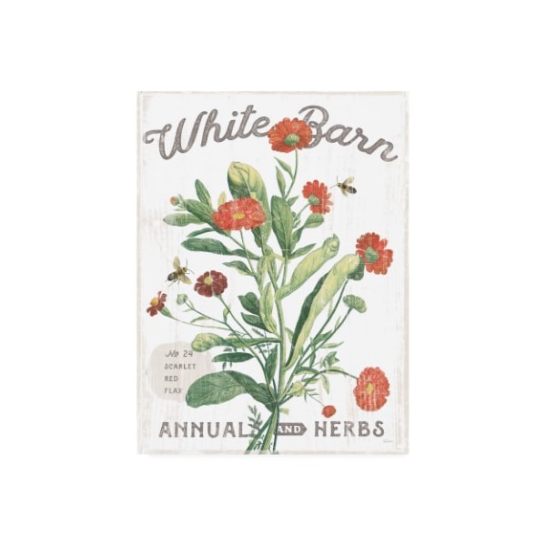 Trademark Fine Art Sue Schlabach 'White Barn Flowers IV' Canvas Art, 14x19 - WAP11748-C1419GG