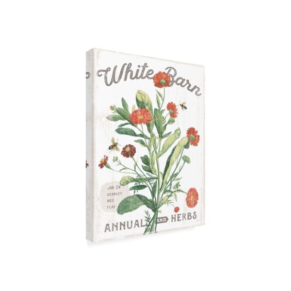 Trademark Fine Art Sue Schlabach 'White Barn Flowers IV' Canvas Art, 14x19 - WAP11748-C1419GG