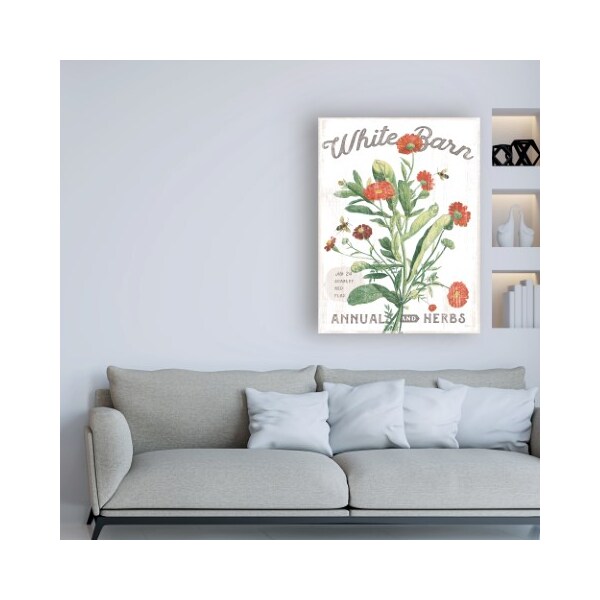 Trademark Fine Art Sue Schlabach 'White Barn Flowers IV' Canvas Art, 14x19 - WAP11748-C1419GG