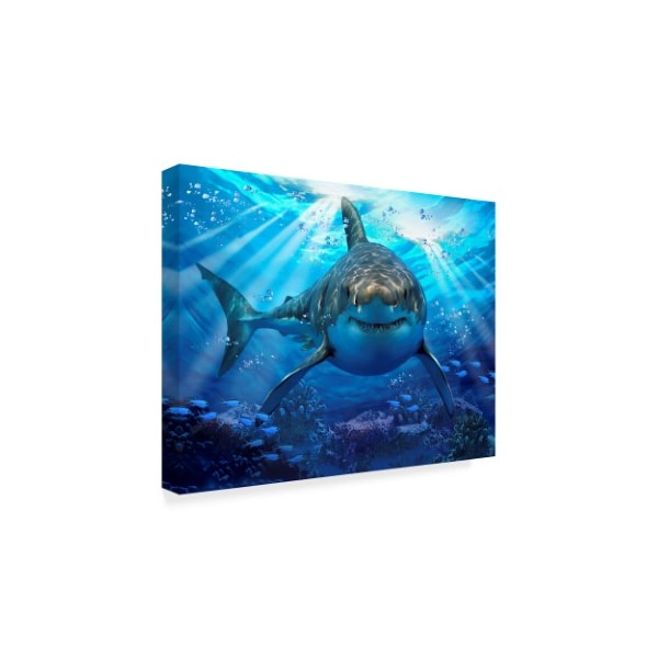 Trademark Fine Art Howard Robinson 'Stalking Shark' Canvas Art, 14x19 - ALI23986-C1419GG