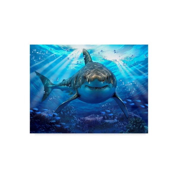 Trademark Fine Art Howard Robinson 'Stalking Shark' Canvas Art, 14x19 - ALI23986-C1419GG