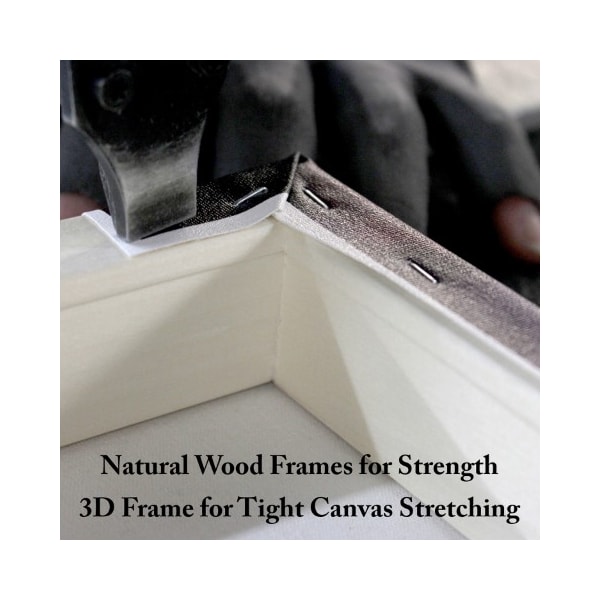 Trademark Fine Art Howard Robinson 'Stalking Shark' Canvas Art, 14x19 - ALI23986-C1419GG