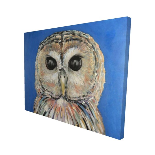 Fondo 16 x 20 in. Colorful Spotted Owl-Print on Canvas - FO2780586