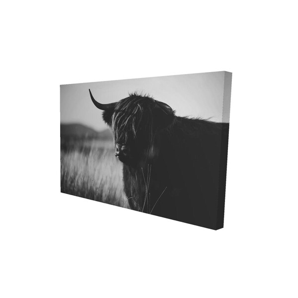 Begin Home Decor 12 x 18 in. Beautiful Monochrome Highland Cow-Print on Canvas - 2080-1218-PH2