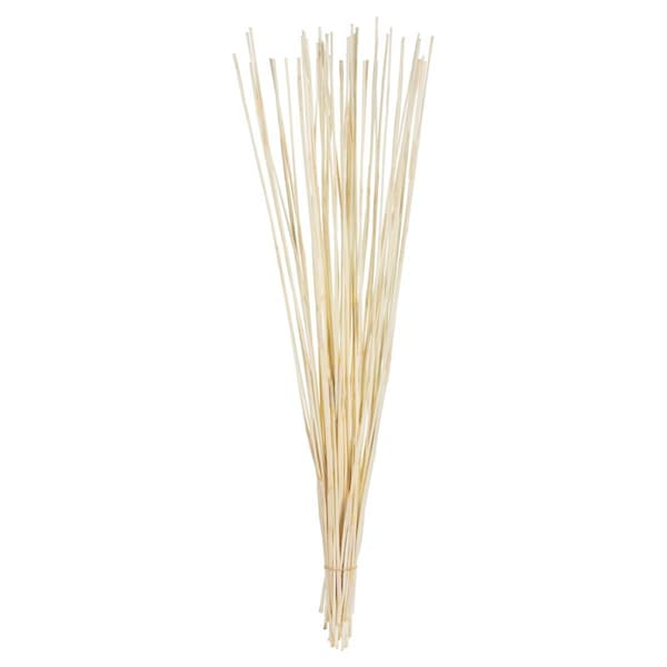 Vickerman 40-42 in. Bleached Elephant Reed - 10 oz Bundle - H1ELR999