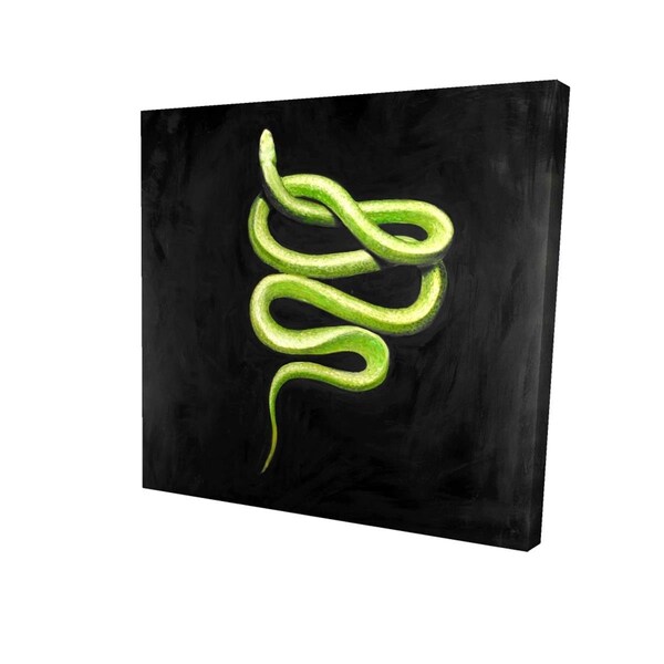Fondo 32 x 32 in. Green Snake-Print on Canvas - FO2791399