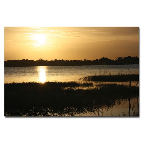 Trademark Fine Art Patty Tuggle 'End of the Day' Canvas Art, 16x24 - PT010-C1624GG