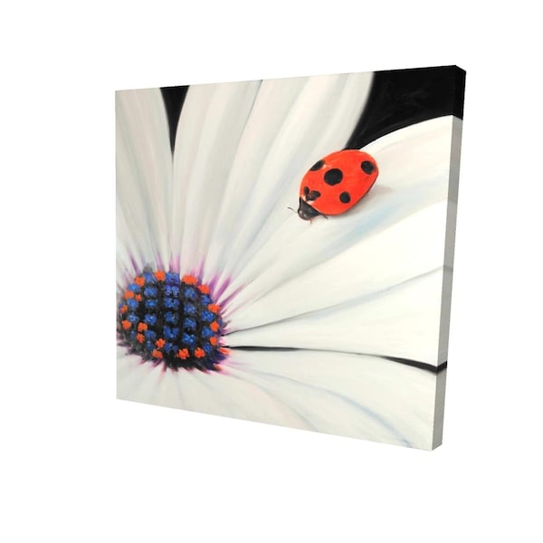 Begin Home Decor 16 x 16 in. White Daisy & Ladybug-Print on Canvas - 2080-1616-FL175