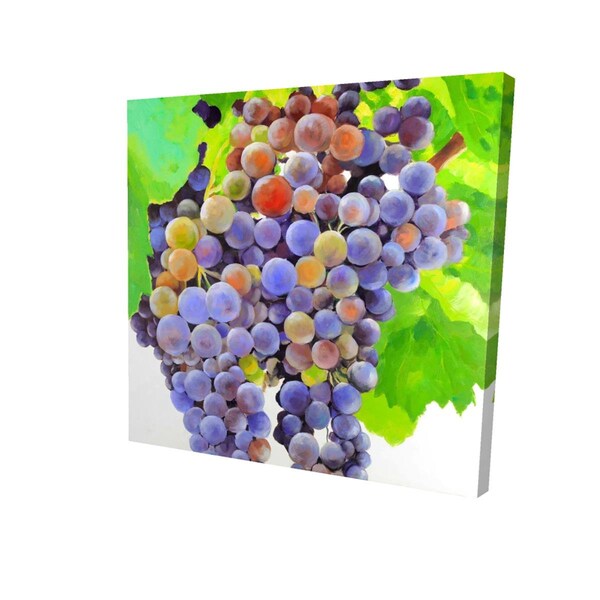 Fondo 16 x 16 in. Bunch of Grapes-Print on Canvas - FO2788878
