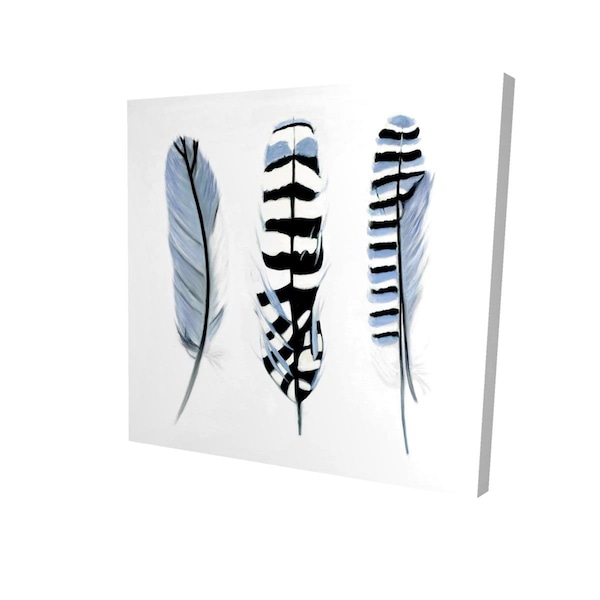 Fondo 16 x 16 in. Delicate Feathers-Print on Canvas - FO2791350