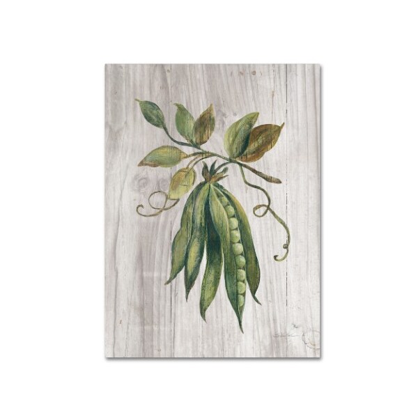 Trademark Fine Art Silvia Vassileva 'Market Vegetables II' Canvas Art, 24x32 - WAP00827-C2432GG
