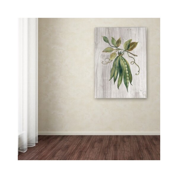 Trademark Fine Art Silvia Vassileva 'Market Vegetables II' Canvas Art, 24x32 - WAP00827-C2432GG
