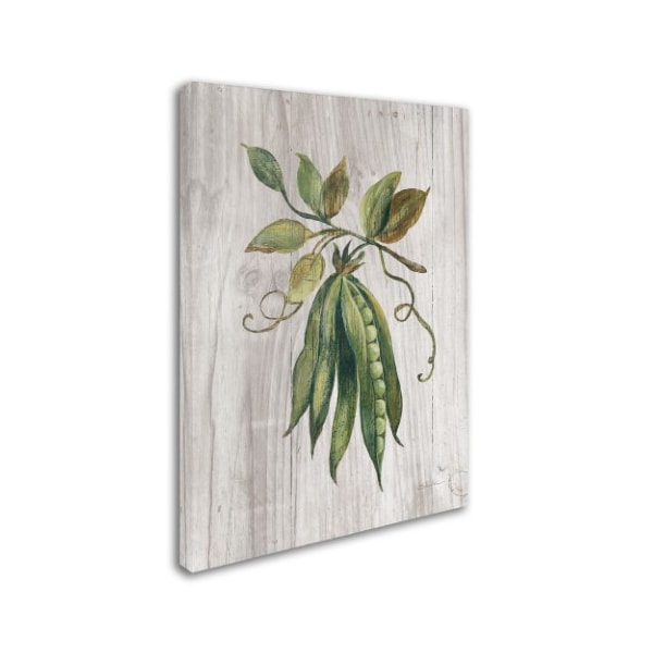 Trademark Fine Art Silvia Vassileva 'Market Vegetables II' Canvas Art, 24x32 - WAP00827-C2432GG