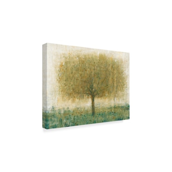 Trademark Fine Art Tim Otoole 'Summer Day Tree I' Canvas Art, 24x32 - WAG06797-C2432GG