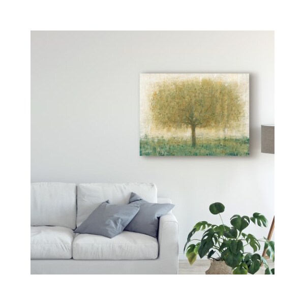 Trademark Fine Art Tim Otoole 'Summer Day Tree I' Canvas Art, 24x32 - WAG06797-C2432GG
