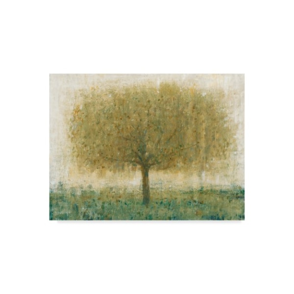 Trademark Fine Art Tim Otoole 'Summer Day Tree I' Canvas Art, 24x32 - WAG06797-C2432GG