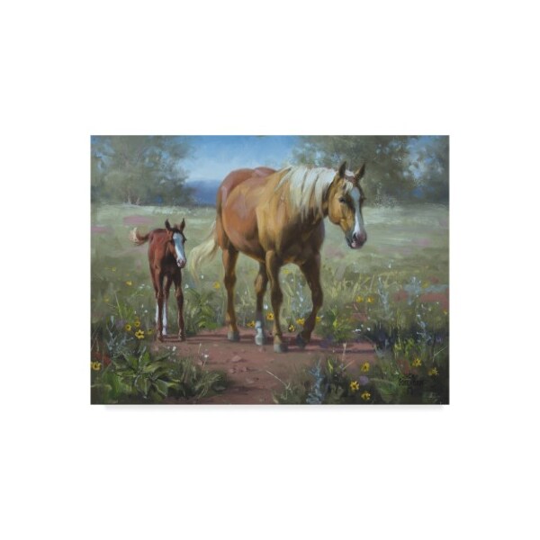 Trademark Fine Art Jack Sorenson 'Comin In' Canvas Art, 24x32 - WAG02016-C2432GG
