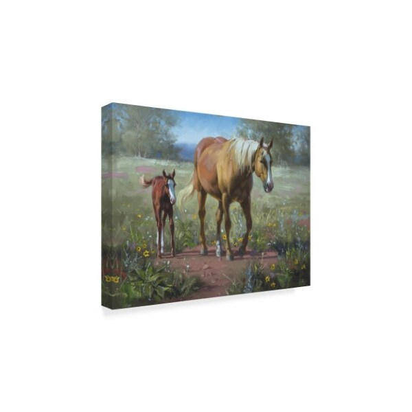 Trademark Fine Art Jack Sorenson 'Comin In' Canvas Art, 24x32 - WAG02016-C2432GG